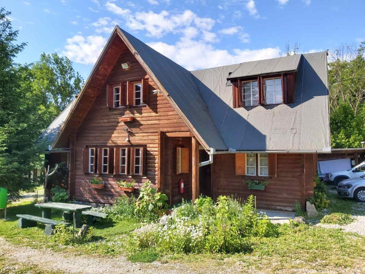 Casa Edelweiss - Gyopár - Flore de colt Rimetea Exterior foto